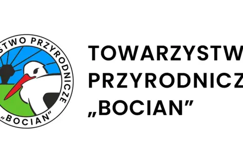 Ile waży dorosły bocian? Zaskakujące fakty o jego wadze