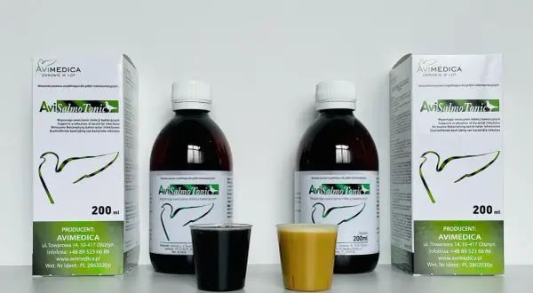 Dwa opakowania AviSalmo Tonic, antybiotyk na drogi oddechowe dla gołębi, obok dwóch kieliszków z płynem.