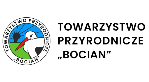 Ile waży dorosły bocian? Zaskakujące fakty o jego wadze