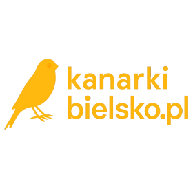 kanarkibielsko.pl