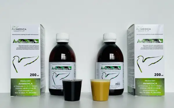 Dwa opakowania AviSalmo Tonic, antybiotyk na drogi oddechowe dla gołębi, obok dwóch kieliszków z płynem.